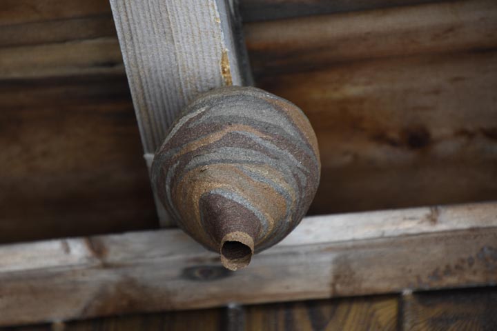 「広島県三原市」スズメバチ駆除の画像イメージ