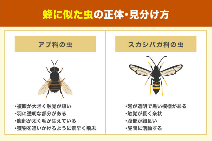 蜂に似た⾍に要注意！蜂みたいな虫の種類や見分け方を解説(1)