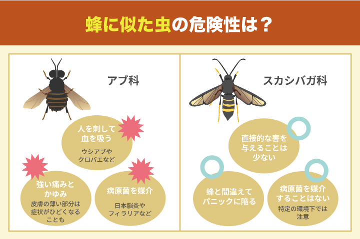 蜂に似た⾍の危険性は？